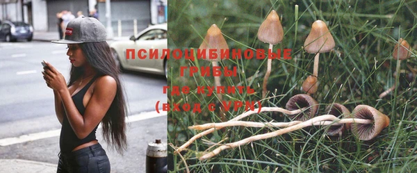 таблы Кинешма