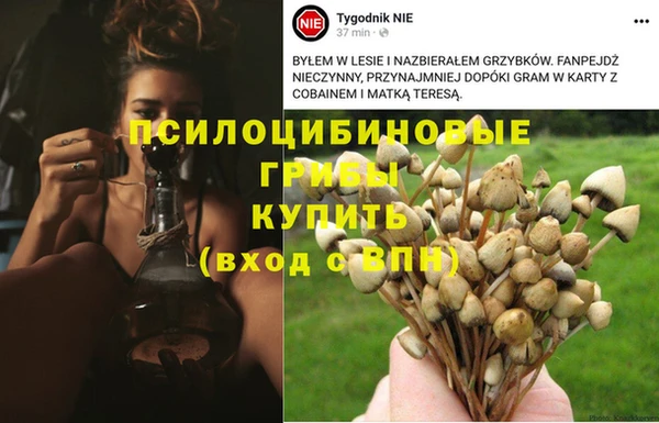 Альфа ПВП Киреевск