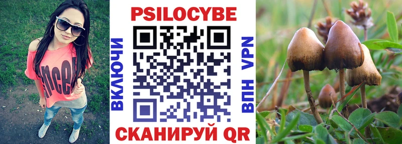 Псилоцибиновые грибы мицелий  цены   OMG онион  Ессентукская 